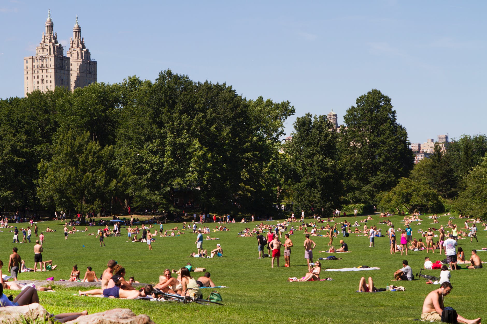 Central Park : les endroits à voir absolument !